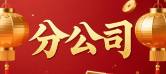 业务分支机构:分公司